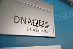 福建怀孕亲子鉴定机构地址查询,福建孕期亲子鉴定预约流程 福建怀孕亲子鉴定机构地址查询,福建孕期亲子鉴定预约流程